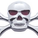 Skull Badge Chrome Plastic